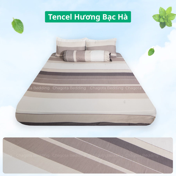 Bộ Ga Gối Chun Ice Mint BH39 Hương Bạc Hà Đặc Trưng, Kháng Khuẩn Nhiều Họa Tiết 1m2