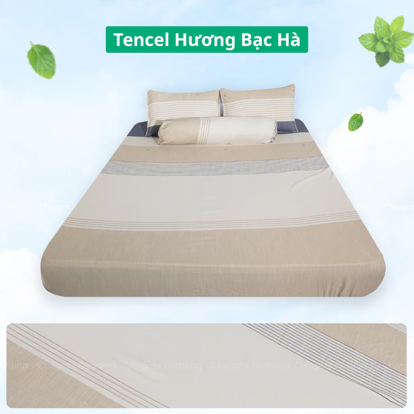 Bộ Ga Gối Chun Ice Mint BH40 Hương Bạc Hà Đặc Trưng, Kháng Khuẩn Nhiều Họa Tiết 1m2
