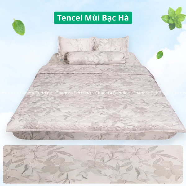 Bộ Chăn Ga Gối Ice Mint BH49 Hương Bạc Hà Đặc Trưng, Kháng Khuẩn Nhiều Họa Tiết 1m