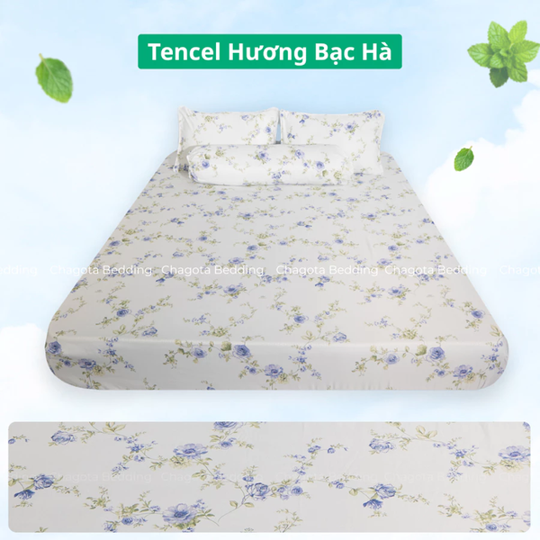 Bộ Ga Gối Chun Ice Mint BH50 Hương Bạc Hà Đặc Trưng, Kháng Khuẩn Nhiều Họa Tiết 1m6
