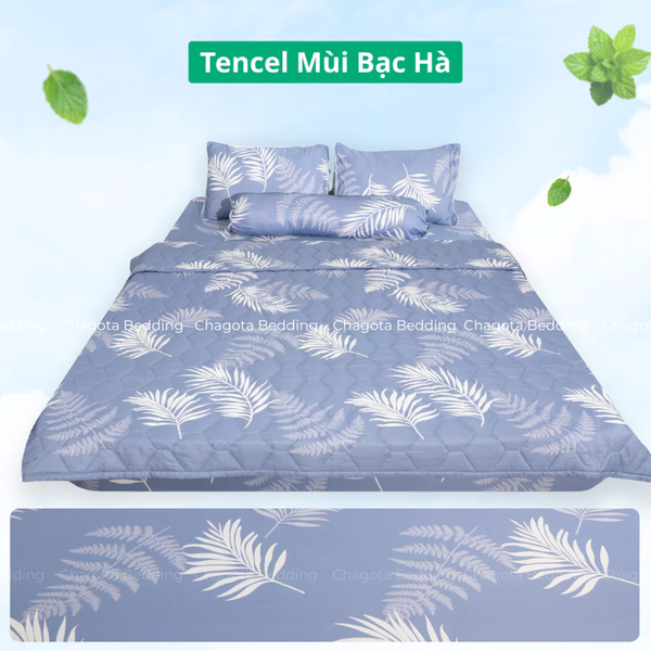 Bộ Chăn Ga Gối Ice Mint BH52 Hương Bạc Hà Đặc Trưng, Kháng Khuẩn Nhiều Họa Tiết 1m4