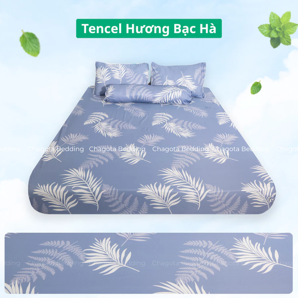 Bộ Ga Gối Chun Ice Mint BH52 Hương Bạc Hà Đặc Trưng, Kháng Khuẩn Nhiều Họa Tiết 1m6