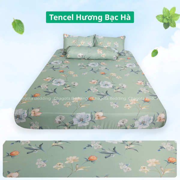 Bộ Ga Gối Chun Ice Mint BH53 Hương Bạc Hà Đặc Trưng, Kháng Khuẩn Nhiều Họa Tiết 2m