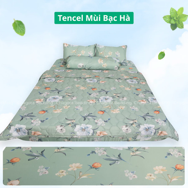 Bộ Chăn Ga Gối Ice Mint BH53 Hương Bạc Hà Đặc Trưng, Kháng Khuẩn Nhiều Họa Tiết 1m