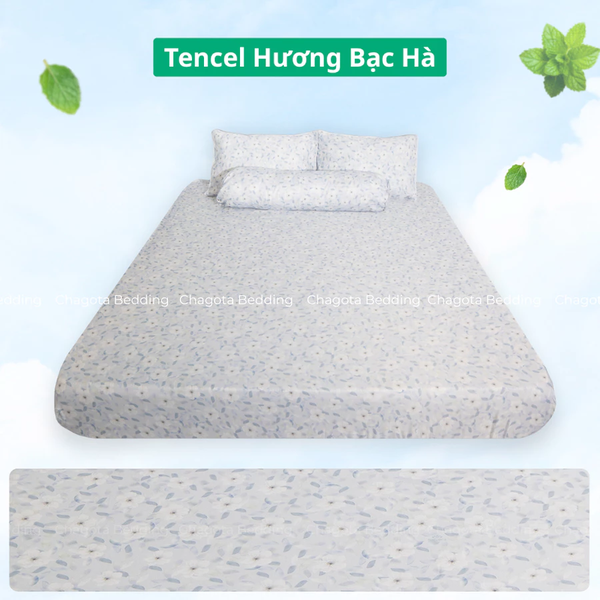 Bộ Ga Gối Chun Ice Mint BH54 Hương Bạc Hà Đặc Trưng, Kháng Khuẩn Nhiều Họa Tiết 1m6