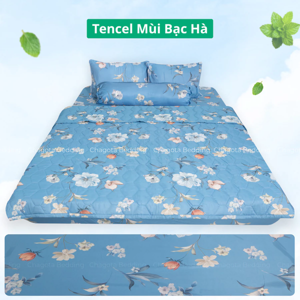 Bộ Chăn Ga Gối Ice Mint BH56 Hương Bạc Hà Đặc Trưng, Kháng Khuẩn Nhiều Họa Tiết 1m2