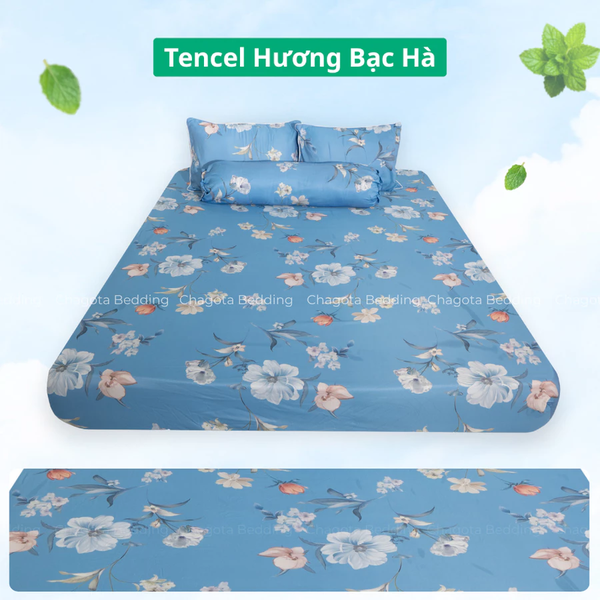 Bộ Ga Gối Chun Ice Mint BH56 Hương Bạc Hà Đặc Trưng, Kháng Khuẩn Nhiều Họa Tiết 2m2