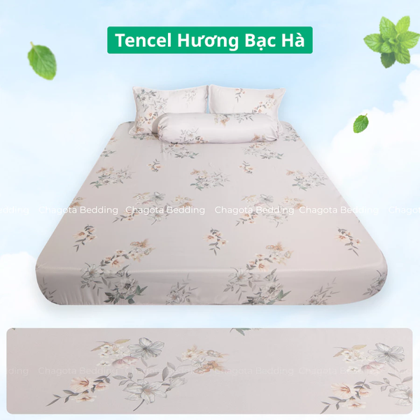 Bộ Ga Gối Chun Ice Mint BH60 Hương Bạc Hà Đặc Trưng, Kháng Khuẩn Nhiều Họa Tiết 1m8