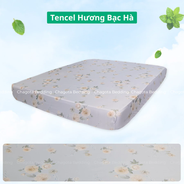 Ga Giường Lẻ Ice Mint BH61 Tinh chất Bạc Hà kháng Khuẩn Nhiều Hoạ Tiết 1m6