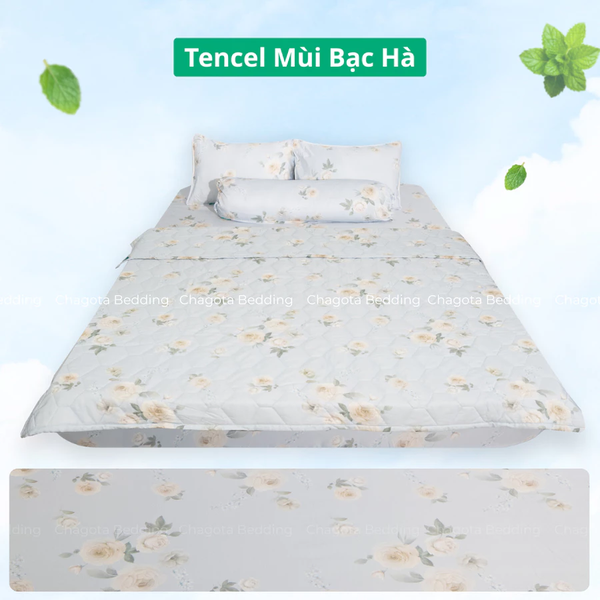 Bộ Chăn Ga Gối Ice Mint BH61 Hương Bạc Hà Đặc Trưng, Kháng Khuẩn Nhiều Họa Tiết 1m6