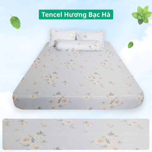 Bộ Ga Gối Chun Ice Mint BH61 Hương Bạc Hà Đặc Trưng, Kháng Khuẩn Nhiều Họa Tiết 1m6