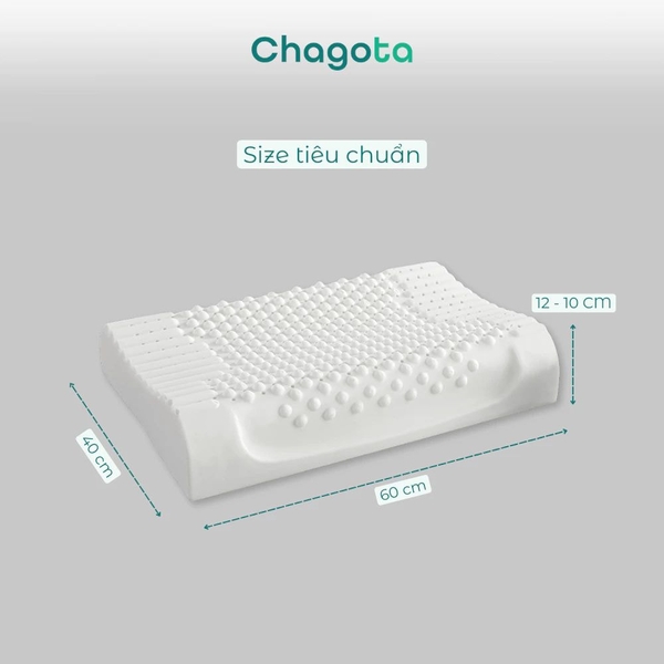 Cặp Gối Cao Su Thiên Nhiên Chagota Gai Massage Thoáng Khí 60x40cm
