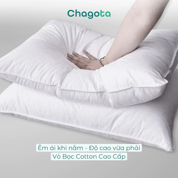 Gối Nằm lẻ 50x70 Ngẫu Nhiên