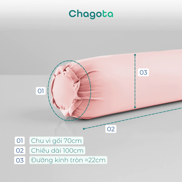 Vỏ Gối Ôm Ice Silk Mát Lạnh Cao Cấp Thoáng Khí Màu Ngẫu Nhiên 30x100cm