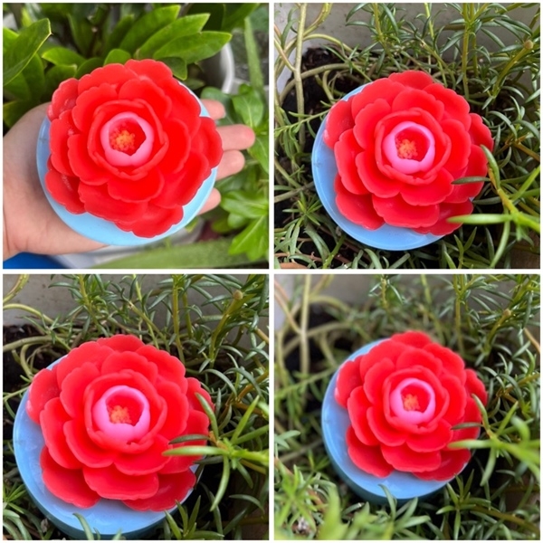 Khuôn Silicon - Hoa Hồng Lai - Hồng Trà - 6cm
