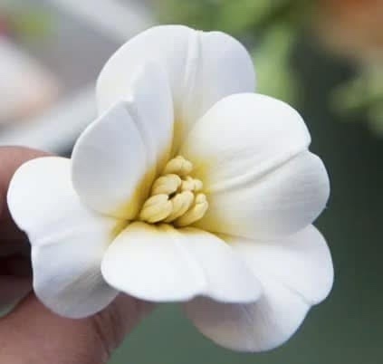 Khuôn Silicon - Hoa Cúc Thuỷ Tiên A07 - 6cm