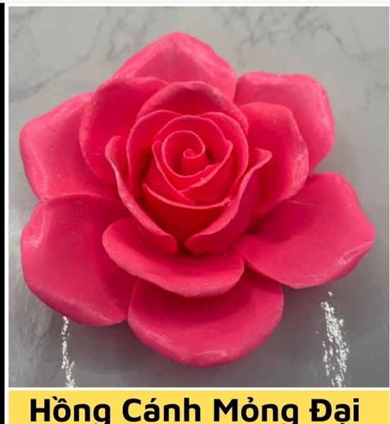 Khuôn Silicon - Hoa Hồng Nở - 9.5cm - 6 Cánh