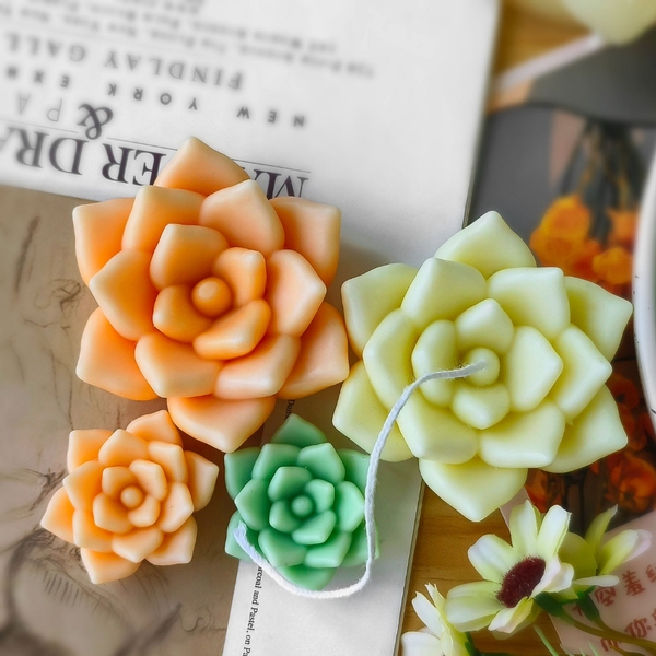 Combo 3 Sen Đá Nở - Mộng Nước Tia Tầng