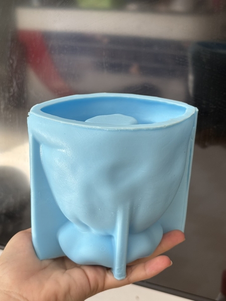Khuôn Silicon Túi Vàng Hủ Vàng To 12.5cm Mã C160
