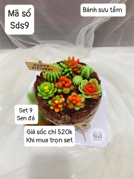 Combo 9 Sen Đá Sds9
