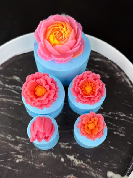 Combo 5 Khuôn Hoa Mao Lương Cúc Tulip 560