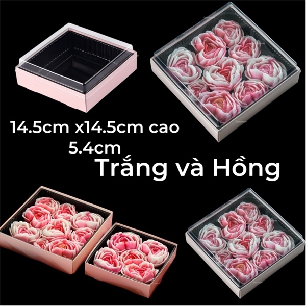 Hộp Giấy Vuông - Lót Nhựa 14.5cm cao 5.4cm - HỒNG