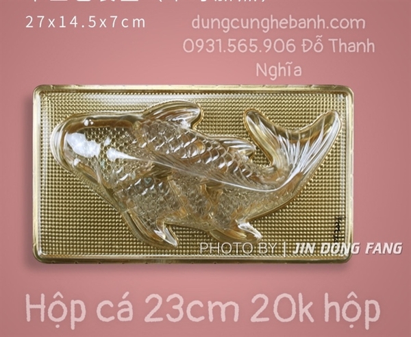 Hộp Nhựa - Cá Chép -  23cm