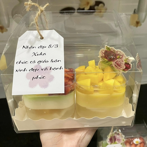 Hộp Nhựa Mika - Chữ Nhật Quai Xách Đế Giấy - 16x9.5cm Cao 9cm