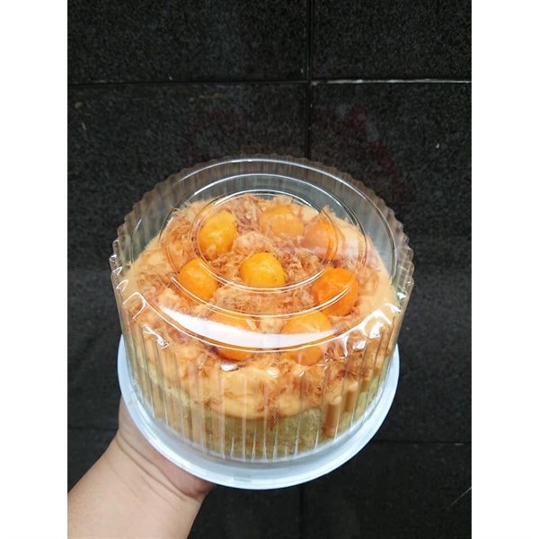 Hộp Nhựa - Tròn H25 - 16cm Cao 9cm - Đế Trắng