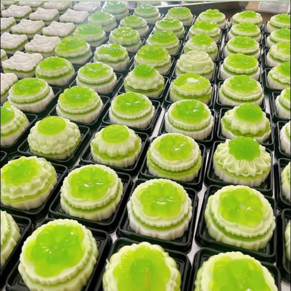 Khuôn Nhựa RCNL - NL21 - Bông Sứ Đại