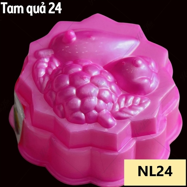 Khuôn Nhựa RCNL - NL24 - Tam Quả