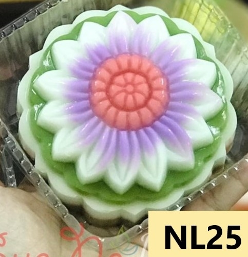 Khuôn Nhựa RCNL - NL25 - Hướng Dương Đại