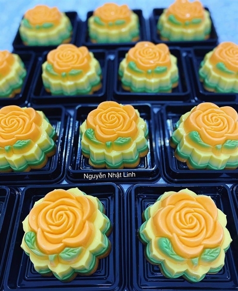 Khuôn Nhựa RCVT - RT02 - Hồng 1c Kèm Lá