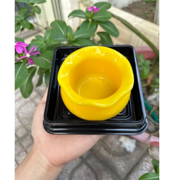 Khuôn Silicon - Hủ Vàng - Rỗng Lớn 9.6cm