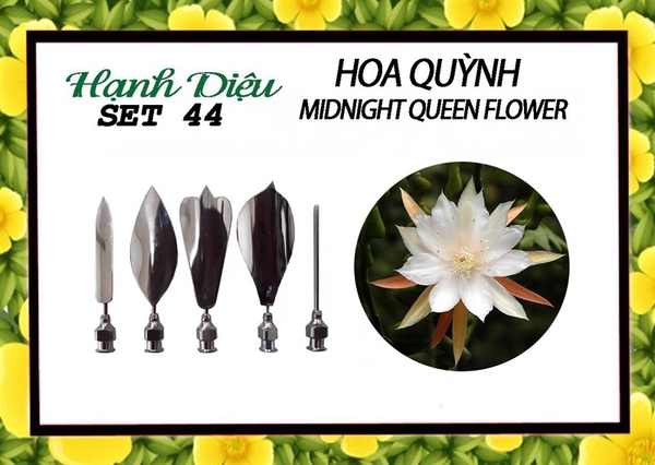 Kim 3D Inox - Bộ 5 - Mẫu 44 Hoa Quỳnh
