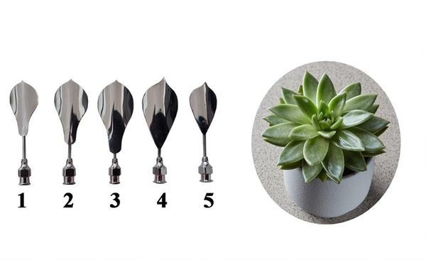Kim 3D Inox - Bộ 5 - Mẫu 49 Sen Đá