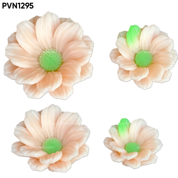 Khuôn Silicon Cúc Phi Set 2 95k