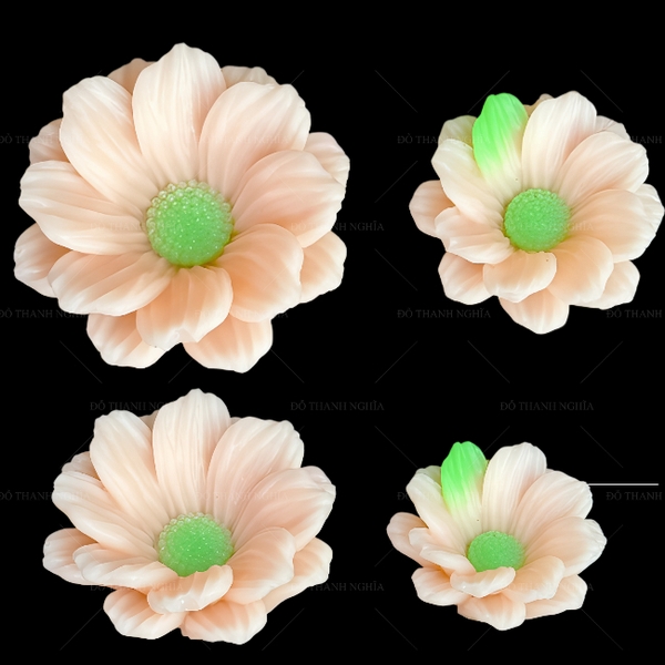 Khuôn Silicon Cúc Phi Set 2 95k