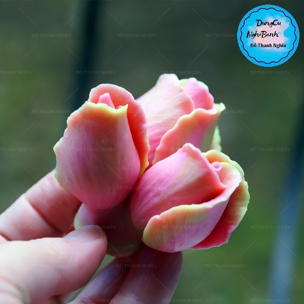 Khuôn Silicon - Chùm Hoa Hồng Búp 3c