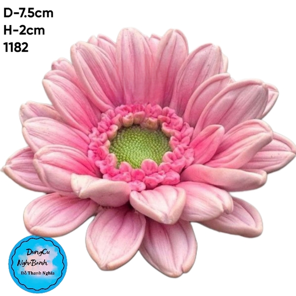 Khuôn Silicon Hoa Cúc Cánh Thẳng - Cúc Đồng Tiền 6.5cm