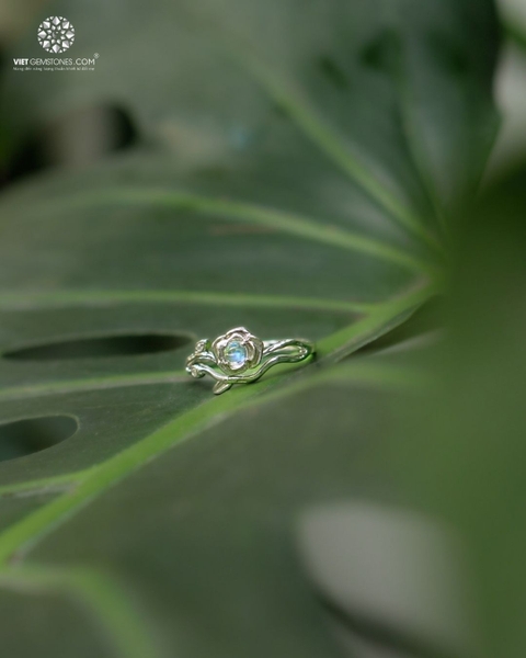 Nhẫn Bạc Đá Mặt Trăng - Moonstone Freesize