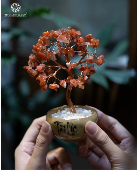 Cây Tài Lộc  -  Đế Khối Tinh Thể Thạch Anh