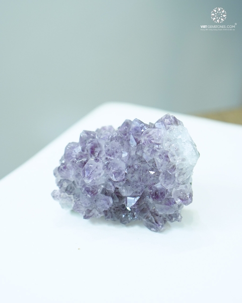 Bụi Tinh Thể Thạch Anh Tím - Amethyst