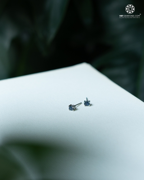 Bông Tai Bạc Sapphire - Bạc 950 Phủ Bạch Kim