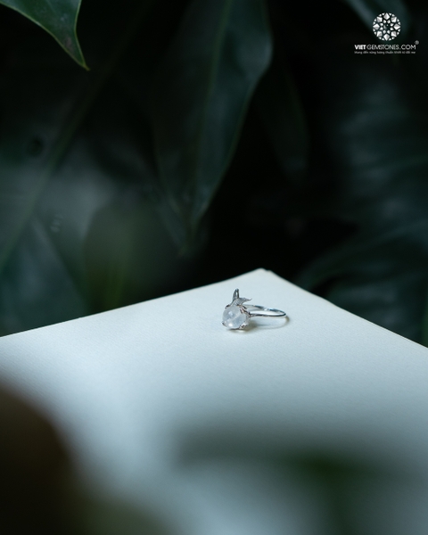 Nhẫn Bạc Đá Mặt Trăng Moonstone Kiểu Đuôi Cá