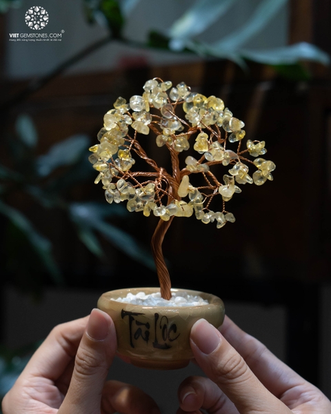 Cây Tài Lộc  -  Đế Khối Tinh Thể Thạch Anh