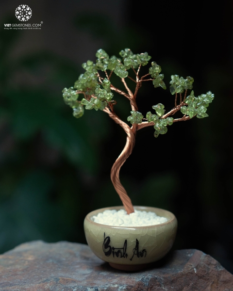Cây Tài Lộc  -  Đế Khối Tinh Thể Thạch Anh