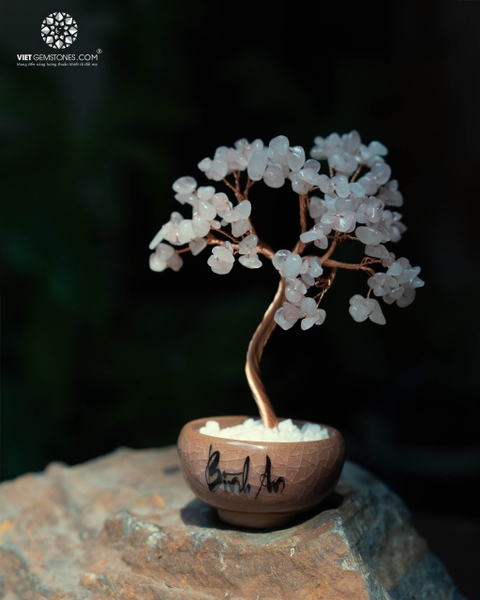 Cây Tài Lộc  -  Đế Khối Tinh Thể Thạch Anh