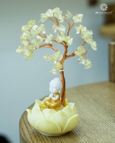 Cây Tài Lộc  -  Đế Khối Tinh Thể Thạch Anh Cỡ Trung