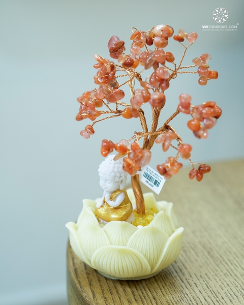 Cây Tài Lộc  -  Đế Khối Tinh Thể Thạch Anh Cỡ Trung